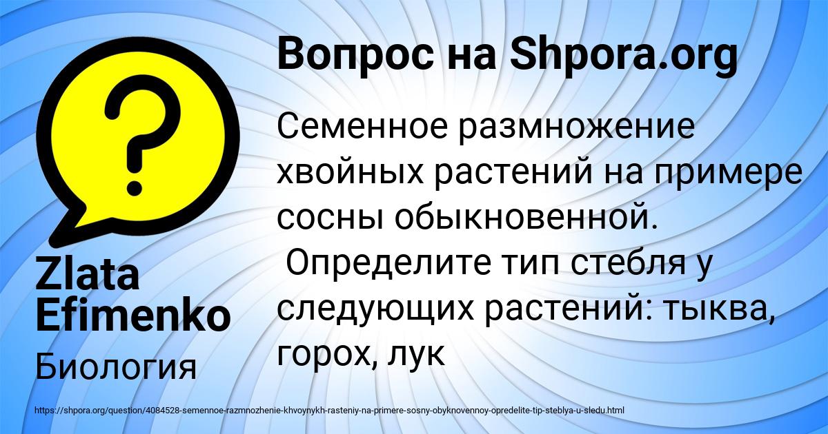 Картинка с текстом вопроса от пользователя Zlata Efimenko