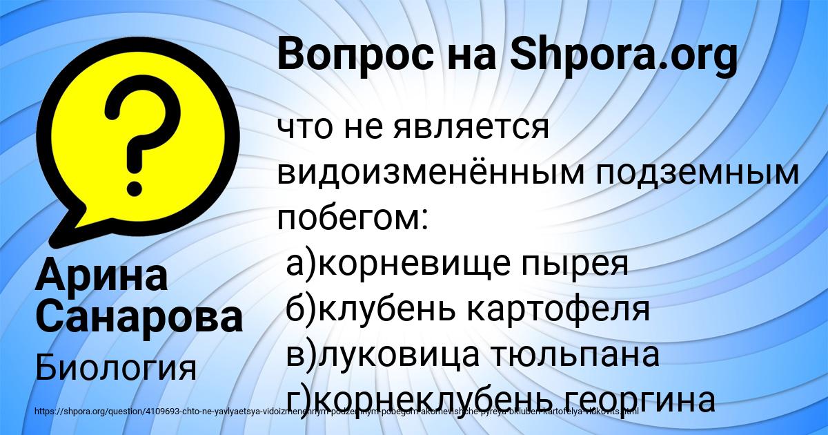 Картинка с текстом вопроса от пользователя Арина Санарова