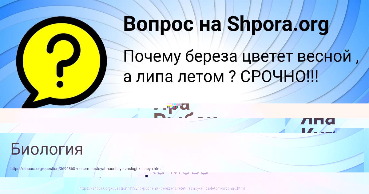 Картинка с текстом вопроса от пользователя Яна Куприянова