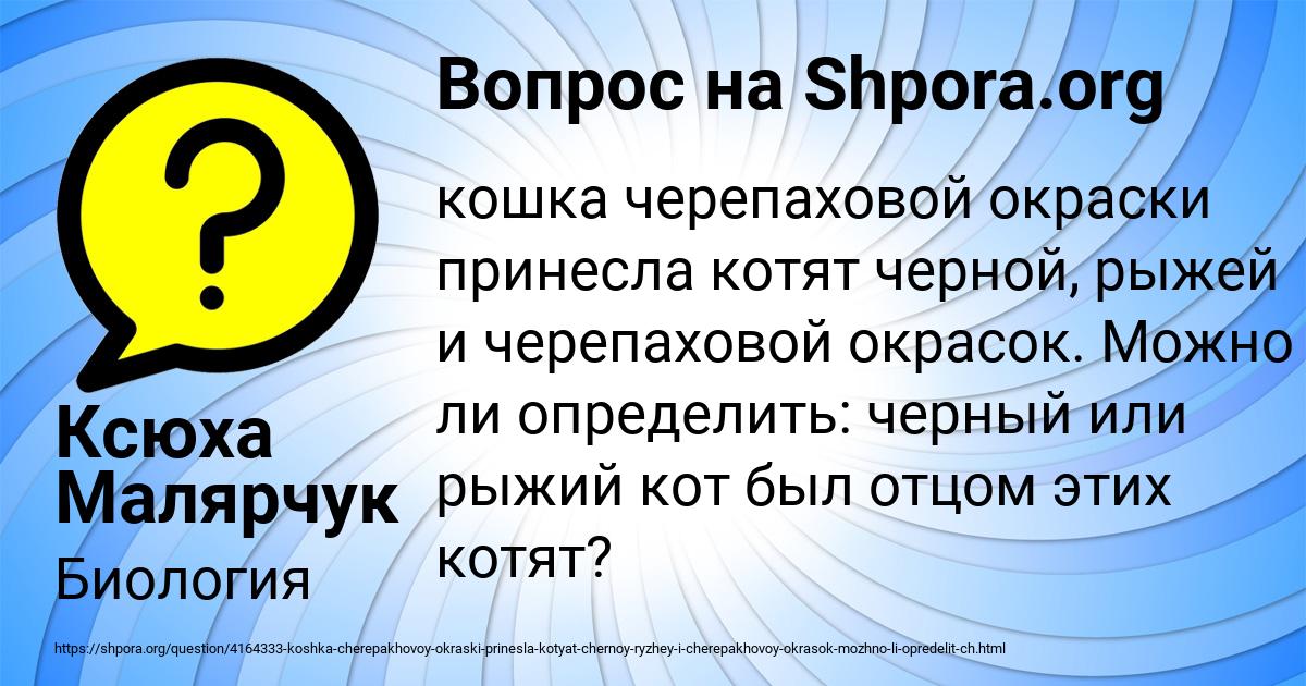 Картинка с текстом вопроса от пользователя Ксюха Малярчук