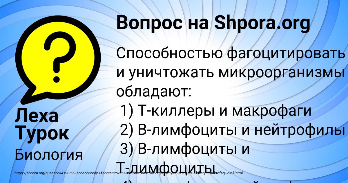 Картинка с текстом вопроса от пользователя Леха Турок