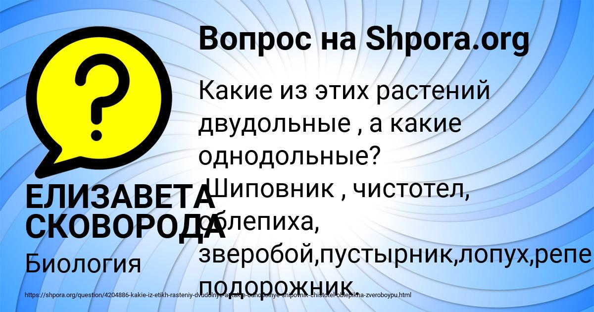 Картинка с текстом вопроса от пользователя ЕЛИЗАВЕТА СКОВОРОДА