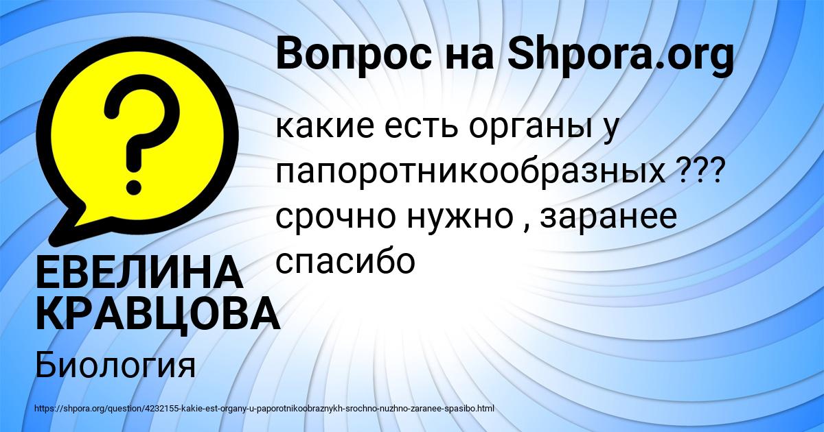 Картинка с текстом вопроса от пользователя ЕВЕЛИНА КРАВЦОВА