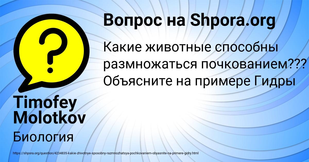 Картинка с текстом вопроса от пользователя Timofey Molotkov