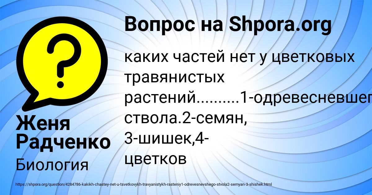 Картинка с текстом вопроса от пользователя Женя Радченко