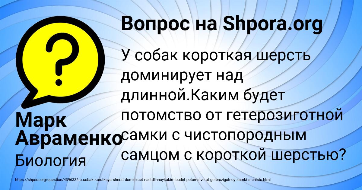 Картинка с текстом вопроса от пользователя Марк Авраменко
