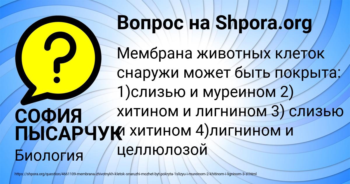 Картинка с текстом вопроса от пользователя СОФИЯ ПЫСАРЧУК