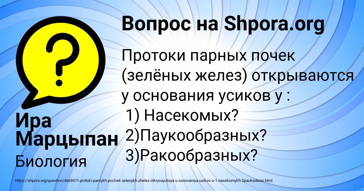 Картинка с текстом вопроса от пользователя Ира Марцыпан