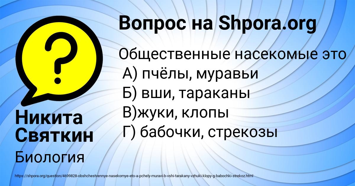 Картинка с текстом вопроса от пользователя Никита Святкин