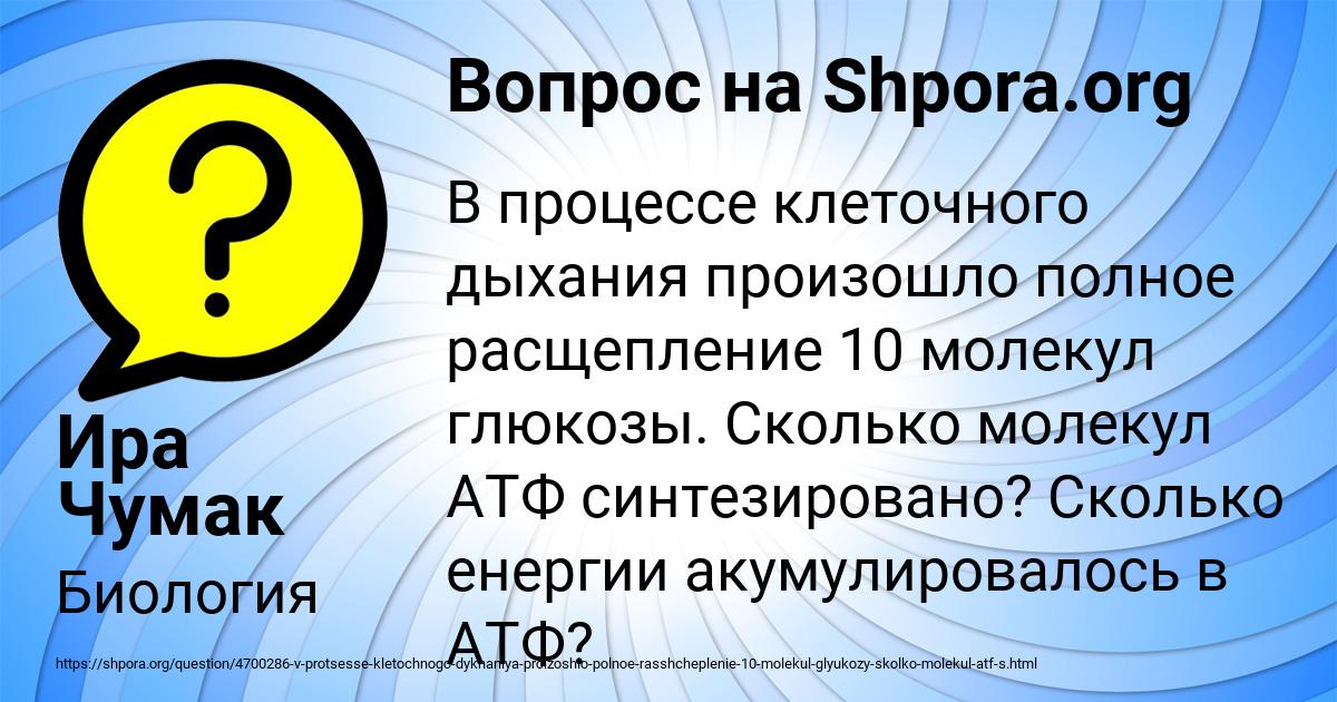 Картинка с текстом вопроса от пользователя Ира Чумак