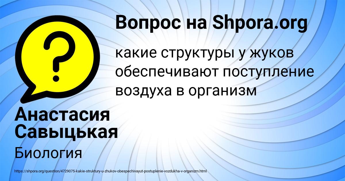 Картинка с текстом вопроса от пользователя Анастасия Савыцькая