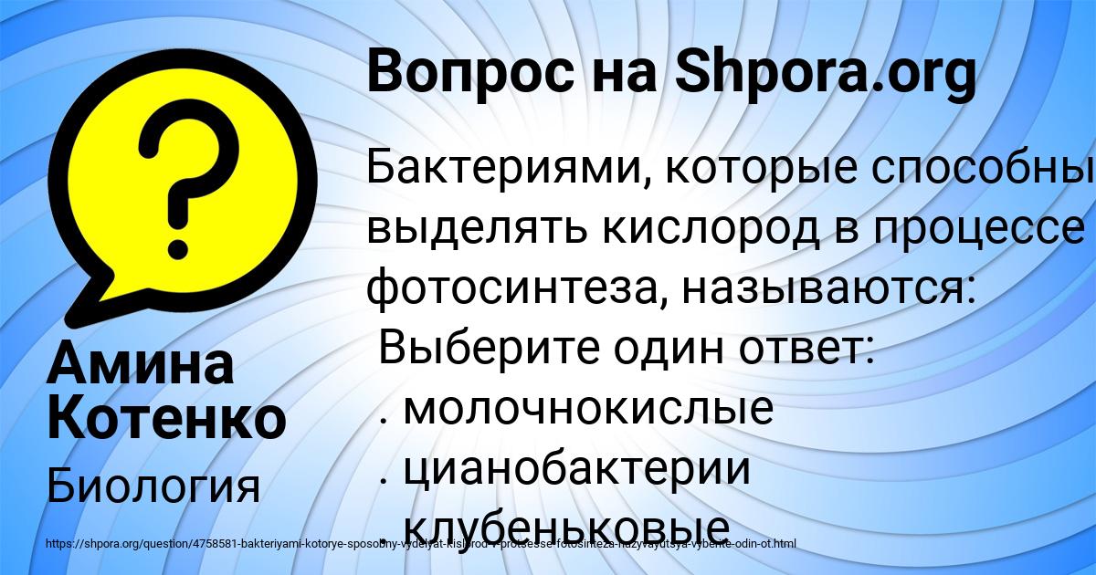 Картинка с текстом вопроса от пользователя Амина Котенко