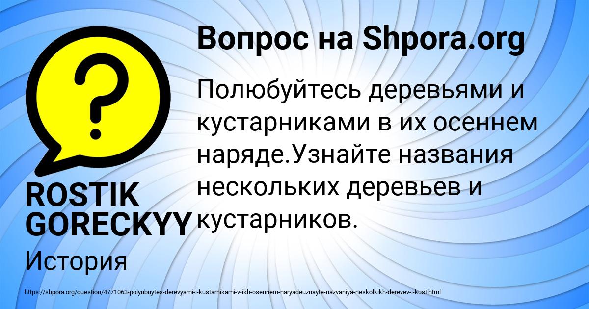 Картинка с текстом вопроса от пользователя ROSTIK GORECKYY