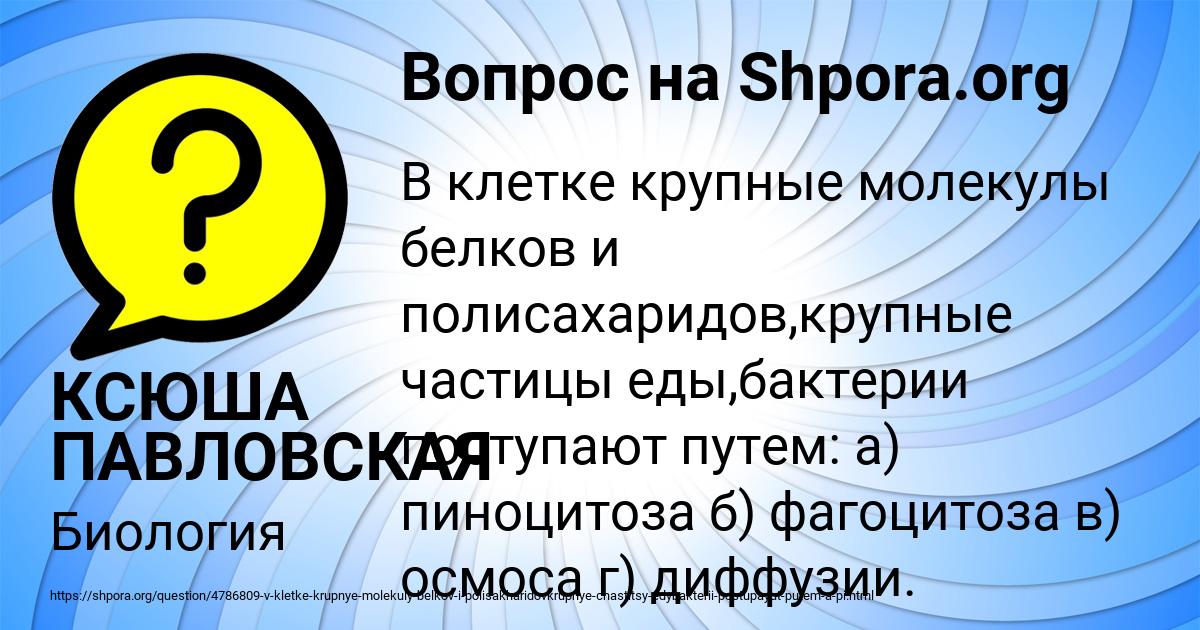 Картинка с текстом вопроса от пользователя КСЮША ПАВЛОВСКАЯ