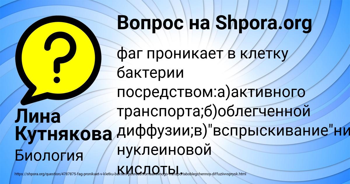 Картинка с текстом вопроса от пользователя Лина Кутнякова