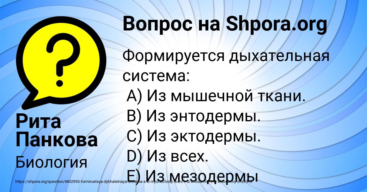 Картинка с текстом вопроса от пользователя Рита Панкова