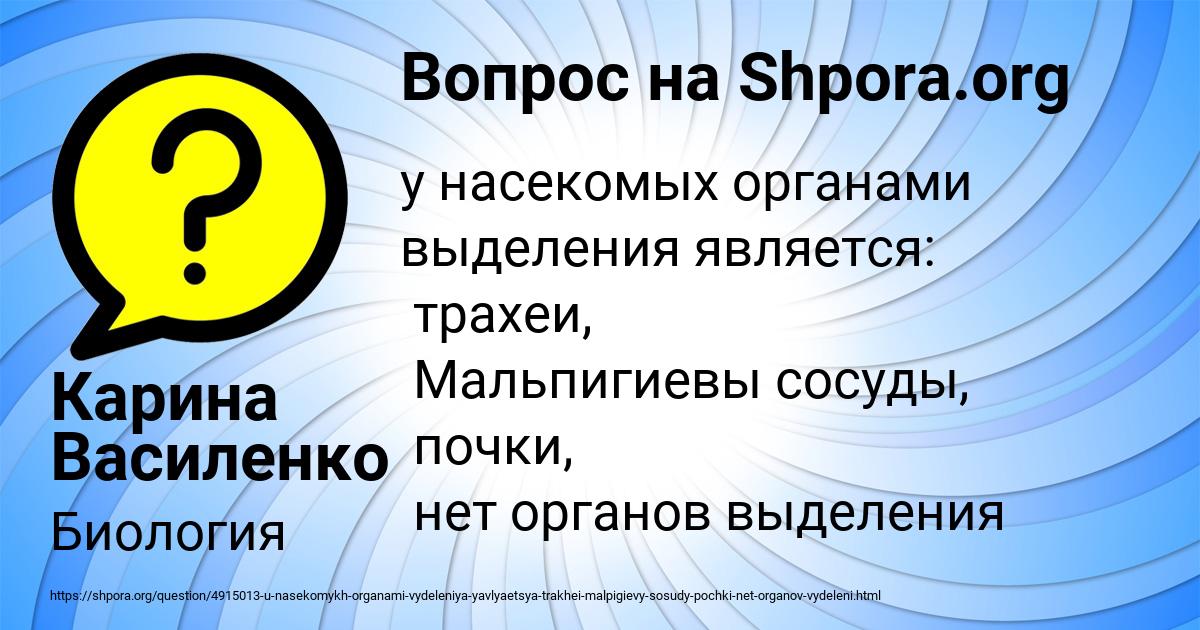 Картинка с текстом вопроса от пользователя Карина Василенко