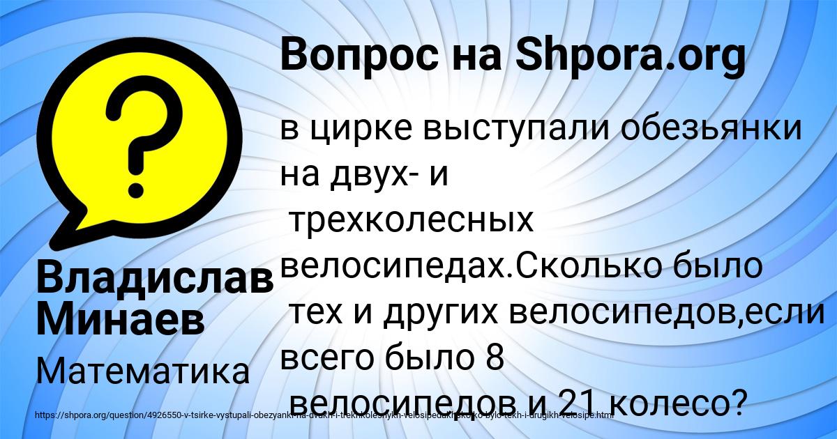 В цирке выступали обезьянки