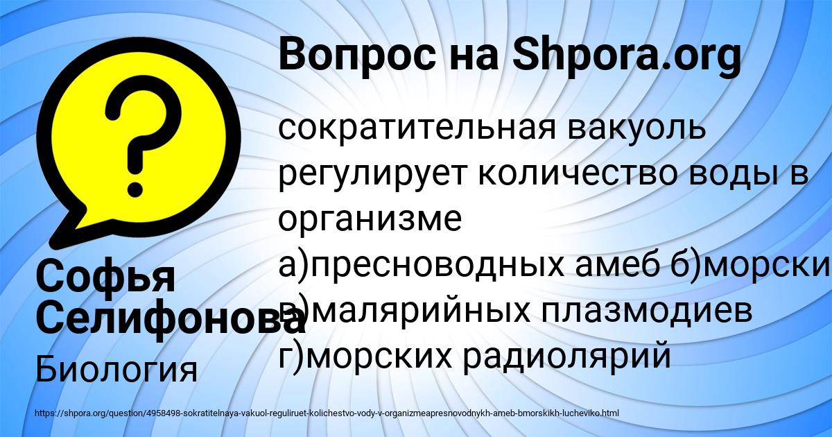 Картинка с текстом вопроса от пользователя Софья Селифонова