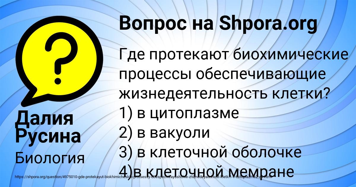 Картинка с текстом вопроса от пользователя Далия Русина