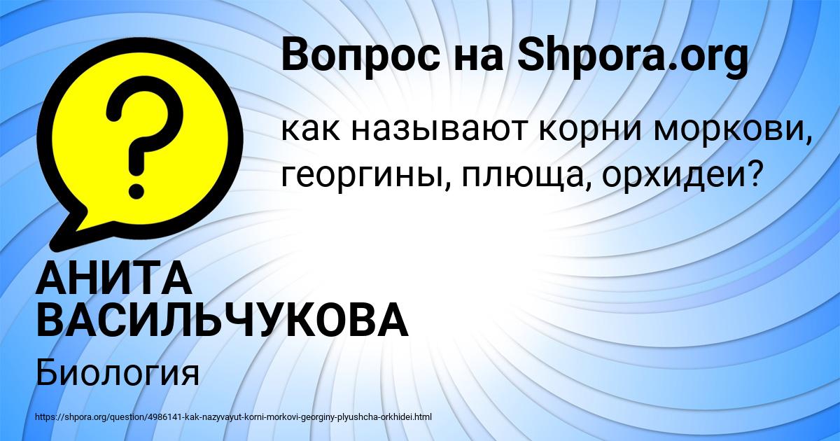 Картинка с текстом вопроса от пользователя АНИТА ВАСИЛЬЧУКОВА