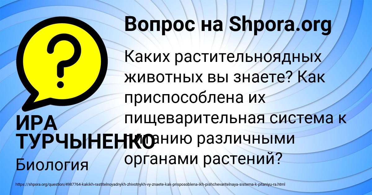 Картинка с текстом вопроса от пользователя ИРА ТУРЧЫНЕНКО