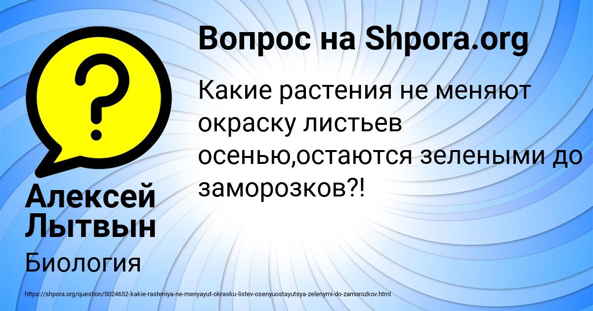 Картинка с текстом вопроса от пользователя Алексей Лытвын