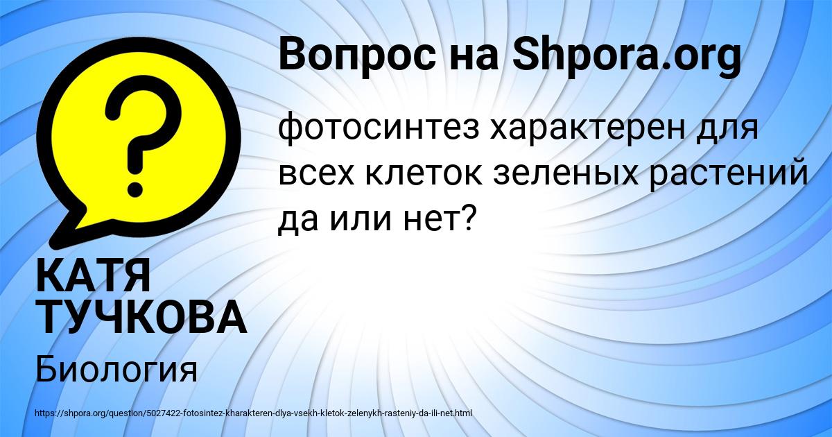 Картинка с текстом вопроса от пользователя КАТЯ ТУЧКОВА