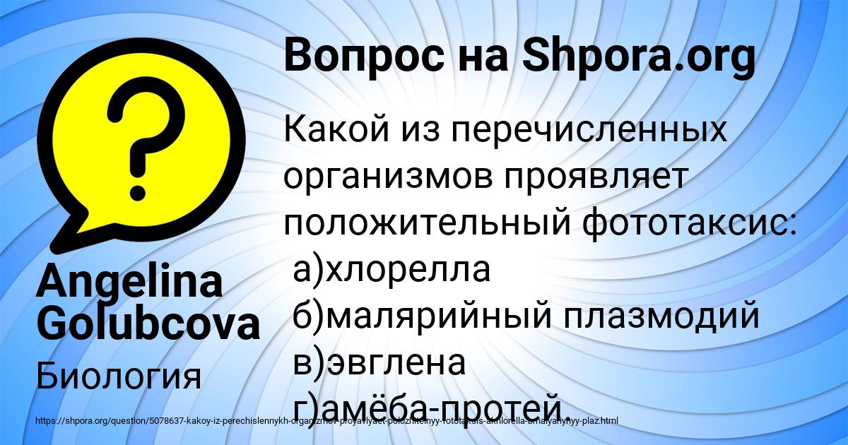 Картинка с текстом вопроса от пользователя Angelina Golubcova