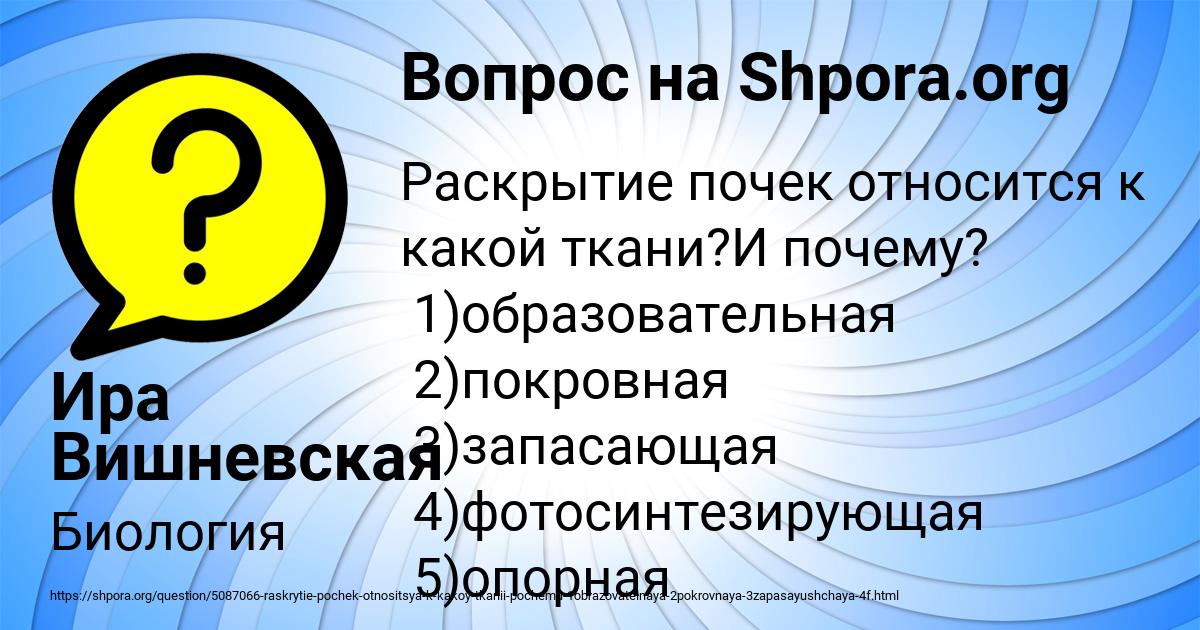 Картинка с текстом вопроса от пользователя Ира Вишневская
