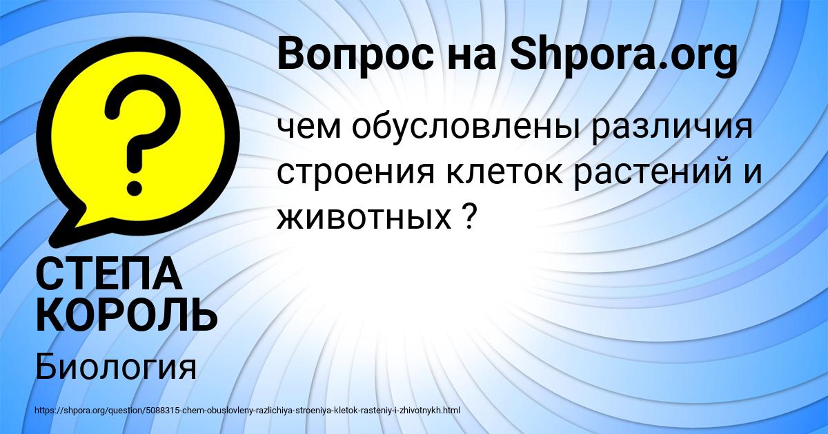Картинка с текстом вопроса от пользователя СТЕПА КОРОЛЬ