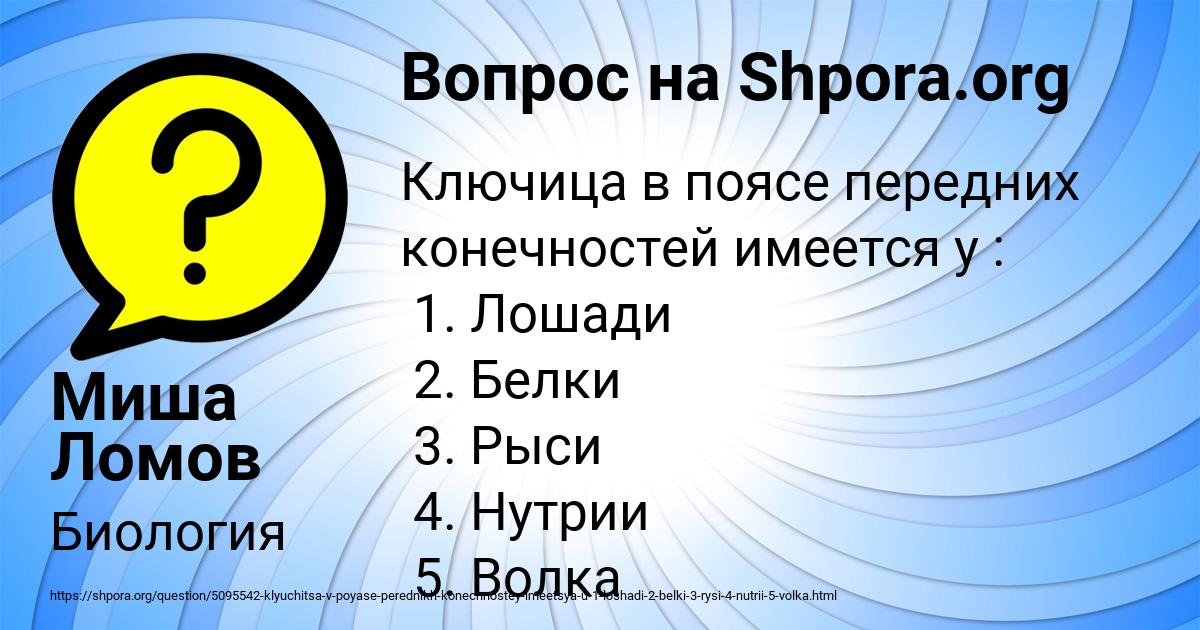 Картинка с текстом вопроса от пользователя Миша Ломов