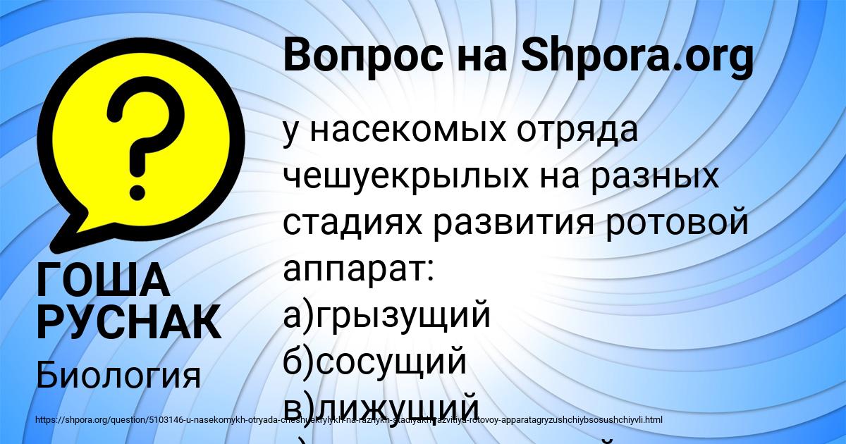 Картинка с текстом вопроса от пользователя ГОША РУСНАК
