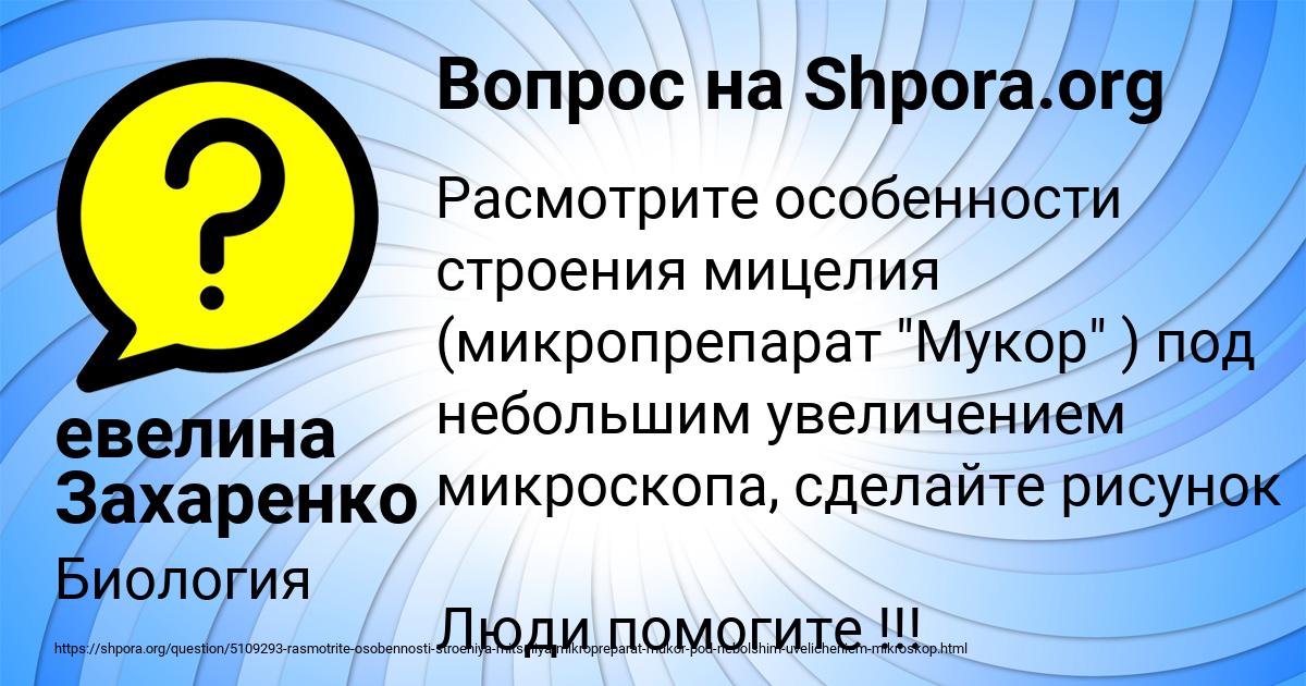 Картинка с текстом вопроса от пользователя евелина Захаренко