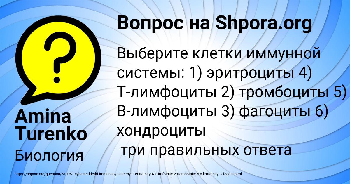 Картинка с текстом вопроса от пользователя Amina Turenko