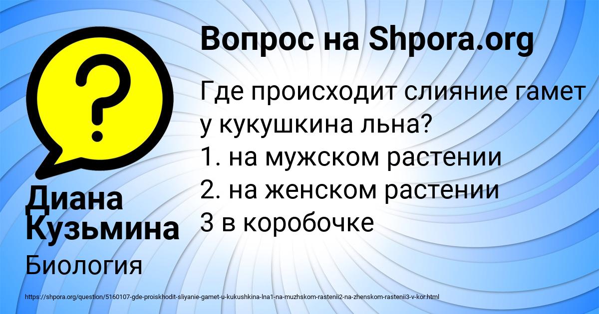 Картинка с текстом вопроса от пользователя Диана Кузьмина