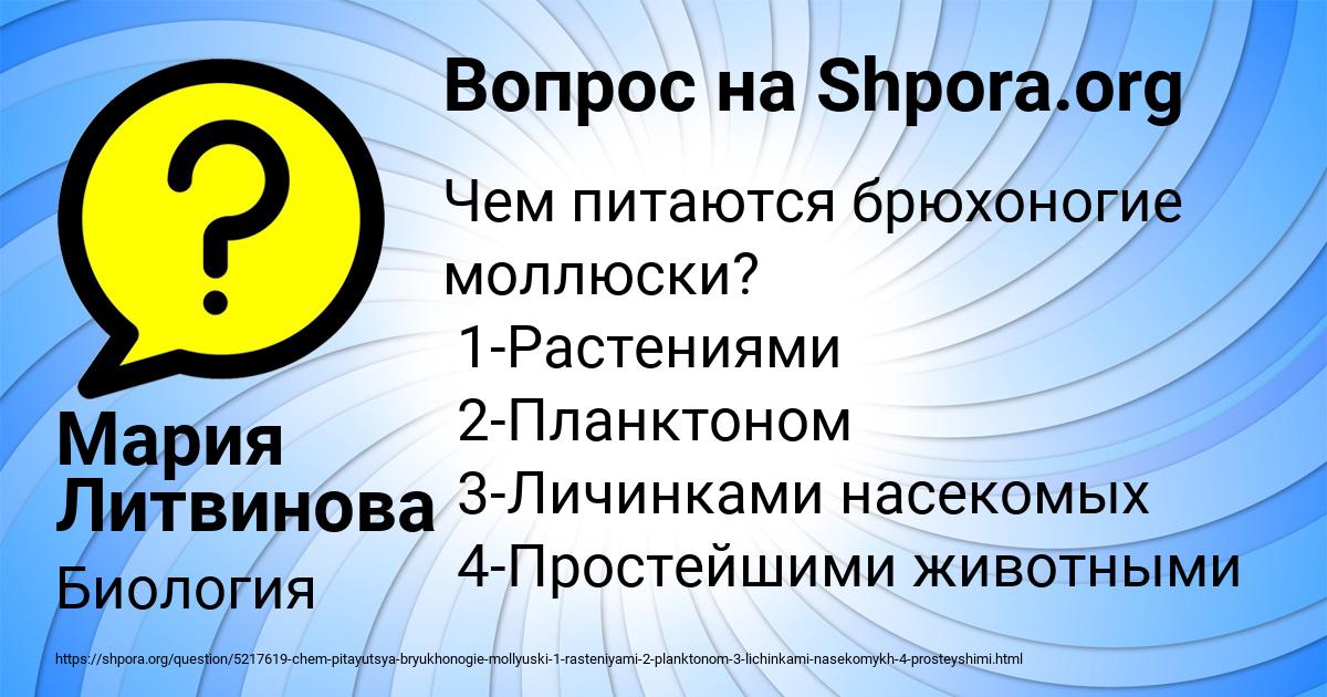 Картинка с текстом вопроса от пользователя Мария Литвинова