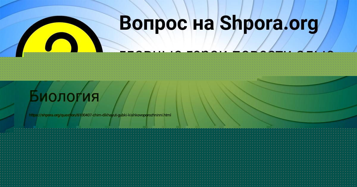 Картинка с текстом вопроса от пользователя Ангелина Гончаренко