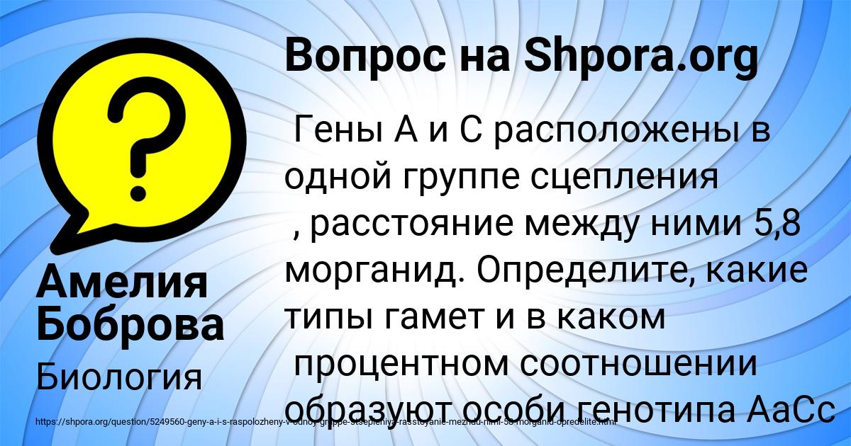 Картинка с текстом вопроса от пользователя Амелия Боброва