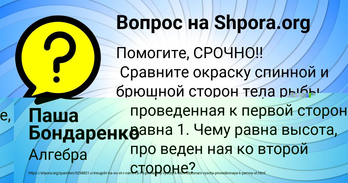 Картинка с текстом вопроса от пользователя Паша Бондаренко
