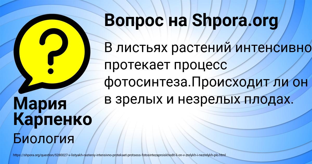 Картинка с текстом вопроса от пользователя Мария Карпенко