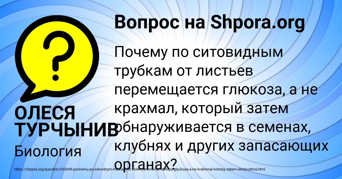 Картинка с текстом вопроса от пользователя ОЛЕСЯ ТУРЧЫНИВ