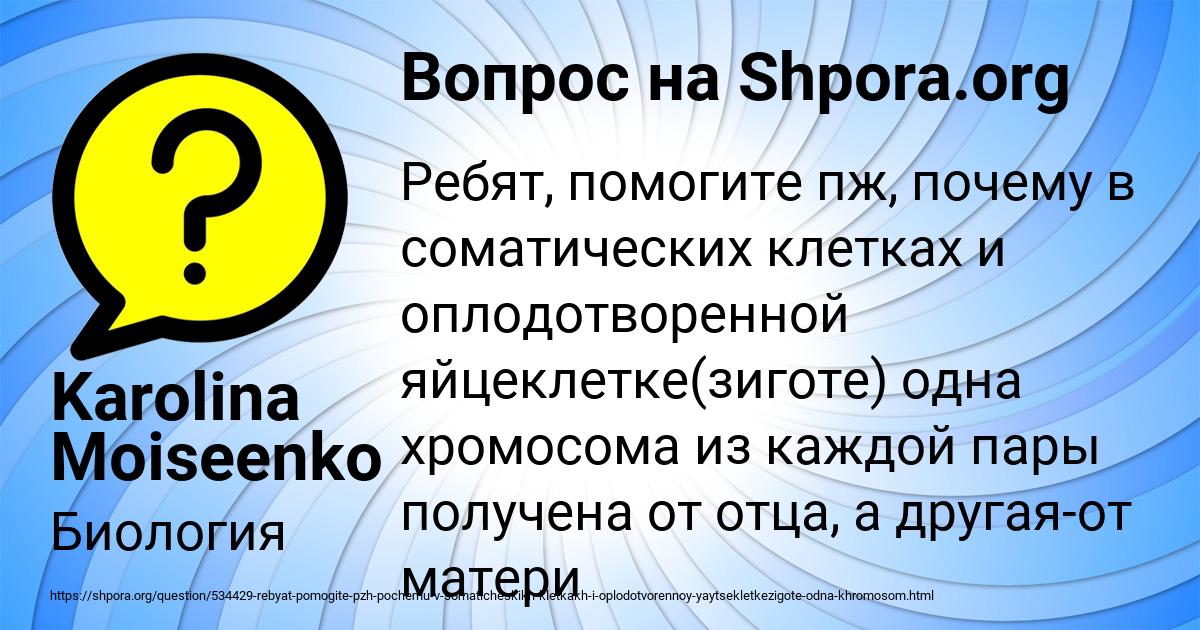 Картинка с текстом вопроса от пользователя Karolina Moiseenko