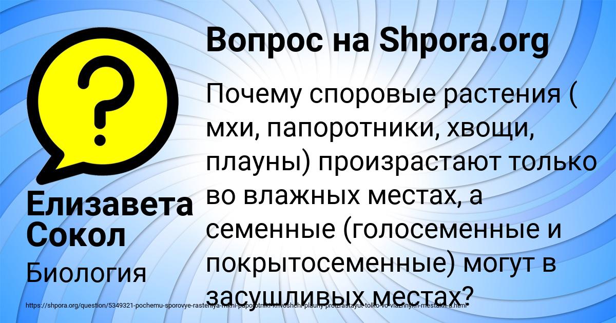 Картинка с текстом вопроса от пользователя Елизавета Сокол