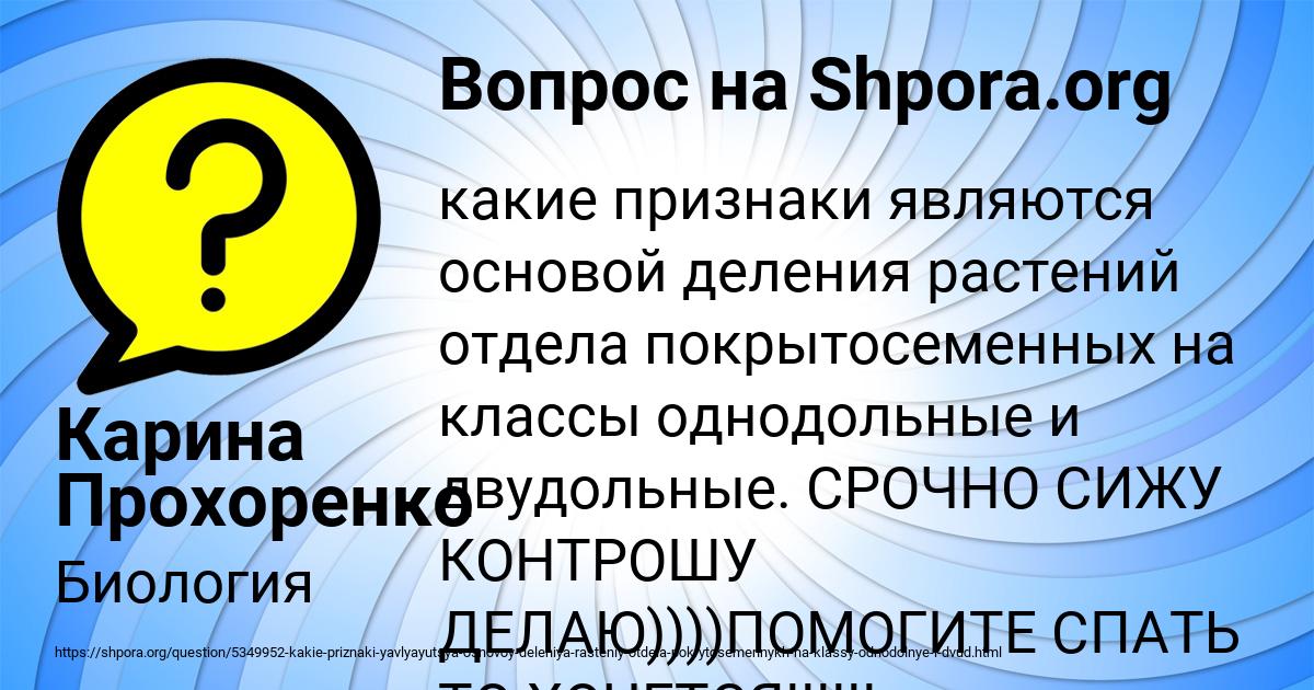 Картинка с текстом вопроса от пользователя Карина Прохоренко