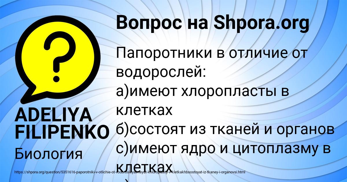 Картинка с текстом вопроса от пользователя ADELIYA FILIPENKO