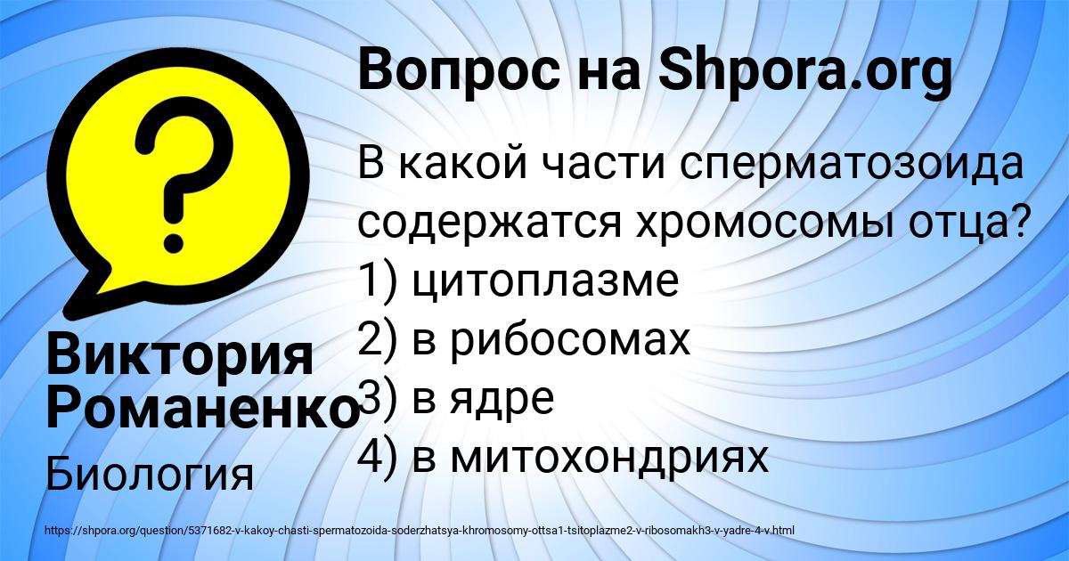 Картинка с текстом вопроса от пользователя Виктория Романенко