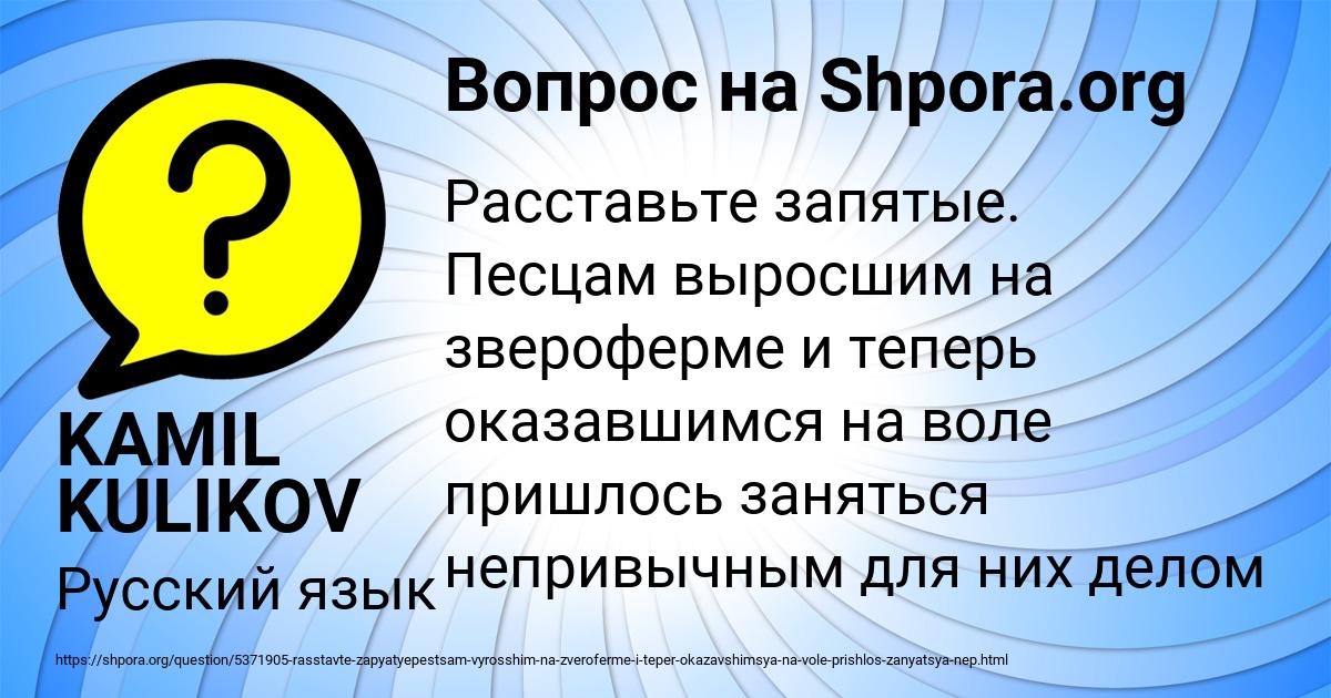 Картинка с текстом вопроса от пользователя KAMIL KULIKOV