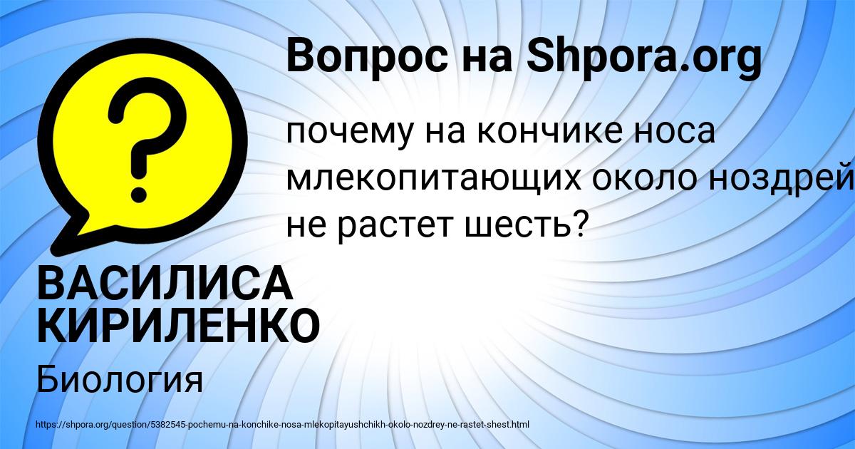 Картинка с текстом вопроса от пользователя ВАСИЛИСА КИРИЛЕНКО