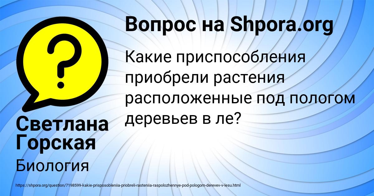 Картинка с текстом вопроса от пользователя ALENA MELNICHENKO